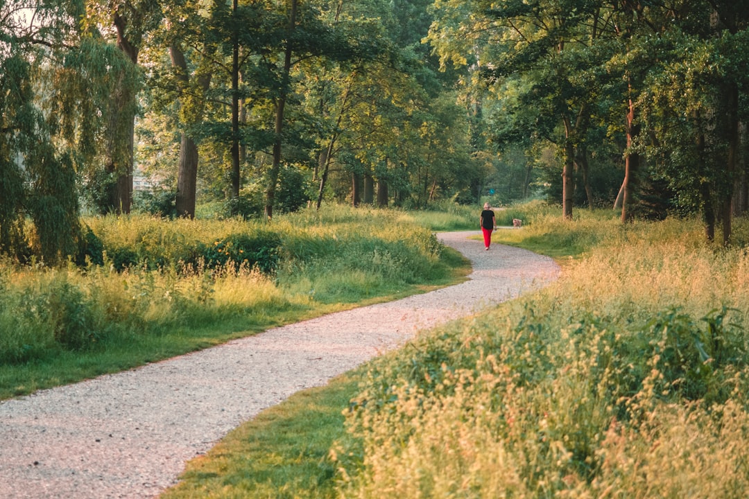 Hoeveel calorieën verbrand je met 5 km wandelen?